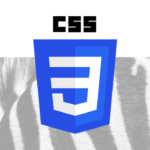 CSS you need to know for Cambridge ICT