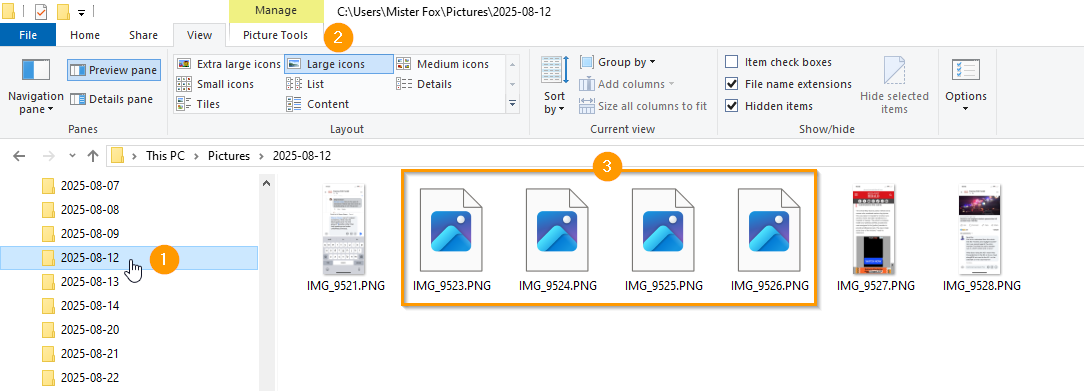 Slow-loading thumbnails in Windows Explorer.
